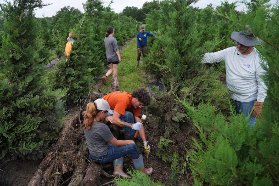Dos semanas después de las trágicas inundaciones en Texas, tres personas continúan desaparecidas - AlbertoNews