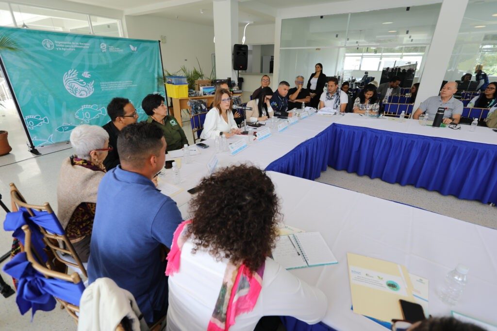 Ejecutan estrategias para controlar coral invasor en costas de Venezuela