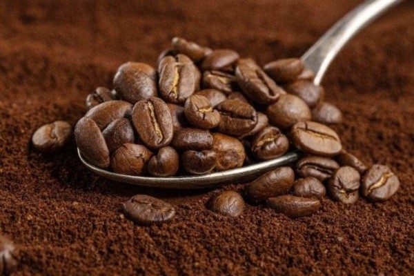 Ejecutivo nacional establece “precios justos” para los productores de café