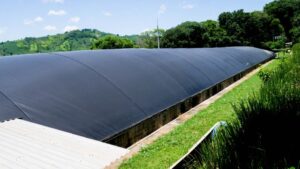 El biogás, la solución avícola a su contaminación en El Salvador : IPS Agencia de Noticias