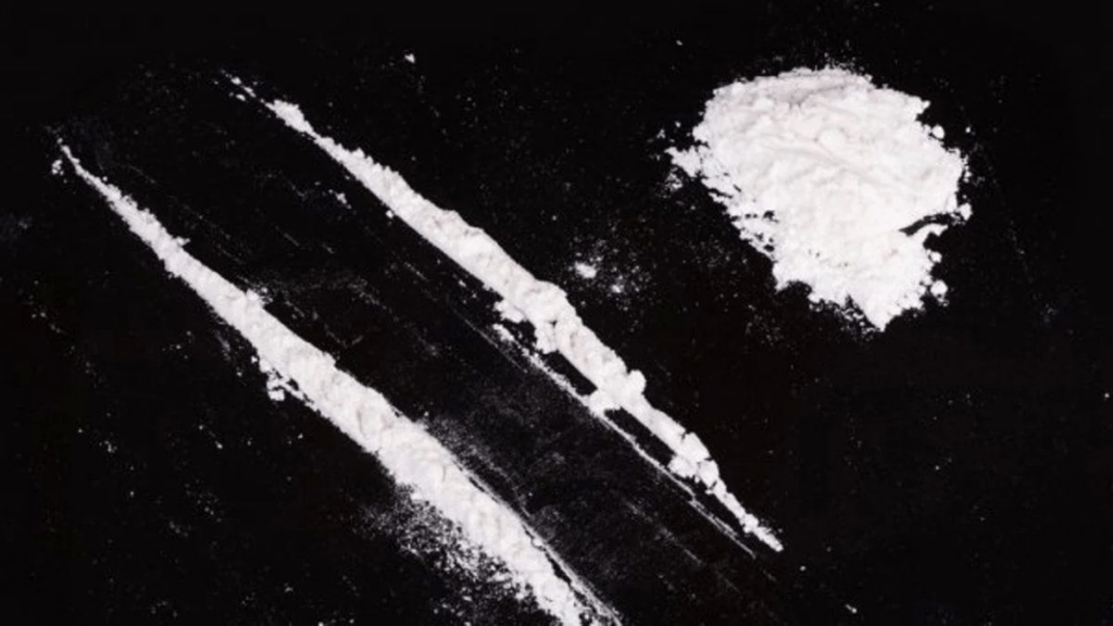 El comercio mundial de cocaína alcanzó récord histórico, según informe de la ONU