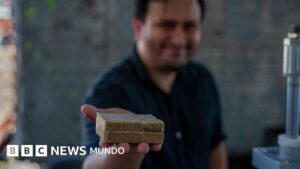 El exitoso emprendimiento hondureño que logró convertir el aceite de cocina usado en jabón y comida para perros
