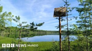 El extraordinario -y fallido- plan soviético para revertir el curso de los ríos en Siberia con bombas atómicas