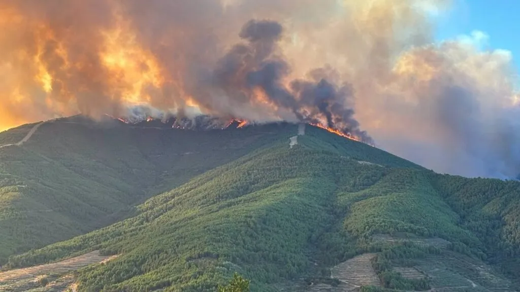 El fuego en Las Hurdes (Cáceres) calcina ya 2.500 hectáreas y más de 500 efectivos trabajan en Cuevas del Valle (Ávila)