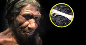 El hallazgo de una “fábrica de grasa” revela que los neandertales dominaban técnicas alimentarias avanzadas para sobrevivir al hambre