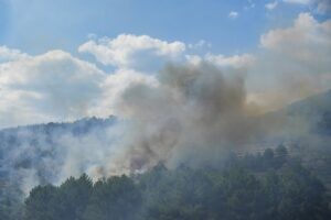 El incendio en Las Hurdes evoluciona de manera favorable tras lograr estabilizar la zona de Avellanar | europapress.es