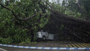 El tifón Wipha golpea el sur de China, provoca caos en aeropuertos y daños materiales