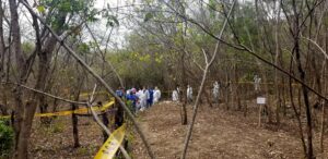 Especialistas y buscadores de personas desaparecidas afinan método para localizar fosas mediante flores y animales