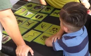 Estudio hecho entre niños mexicanos relaciona la exposición al plomo con la mala memoria