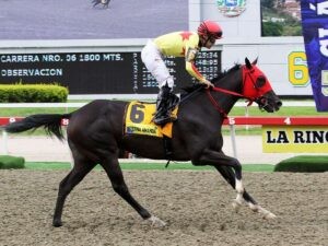 Eterna Amanda por la triple de yeguas
