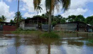Familias de Delta Amacuro se debaten entre mudarse y levantar trojas por crecida del Orinoco