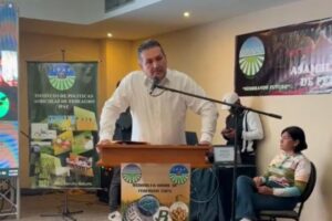 Fedeagro advierte que lluvias afectaron el 5% de la siembra de maíz: "la cifra puede incrementar”