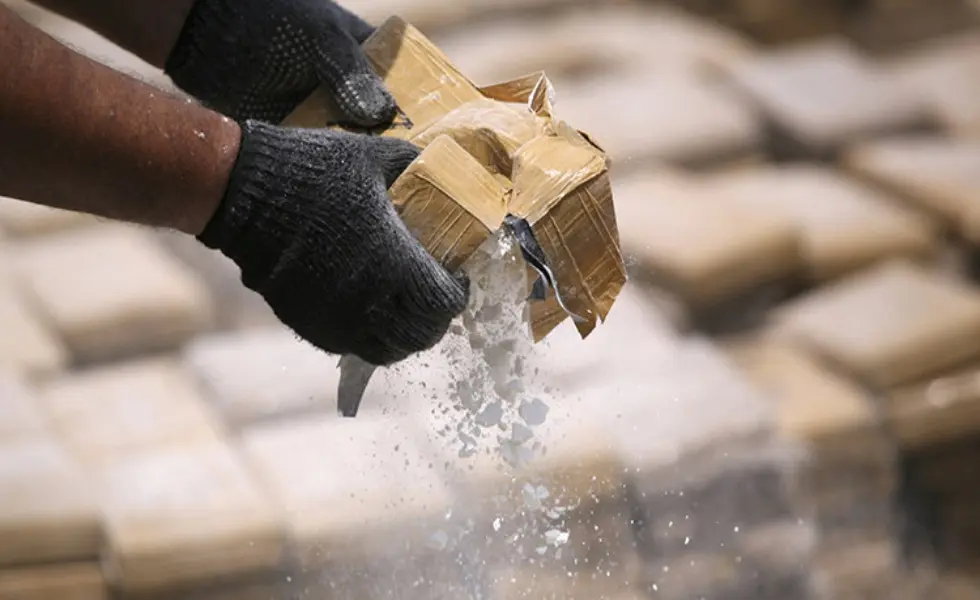 Fiscalía y Policía de Perú incautan 168,46 kilos de cocaína en la frontera con Chile - AlbertoNews