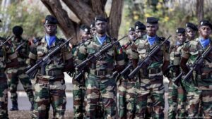 Francia deja Senegal – DW – 17/07/2025