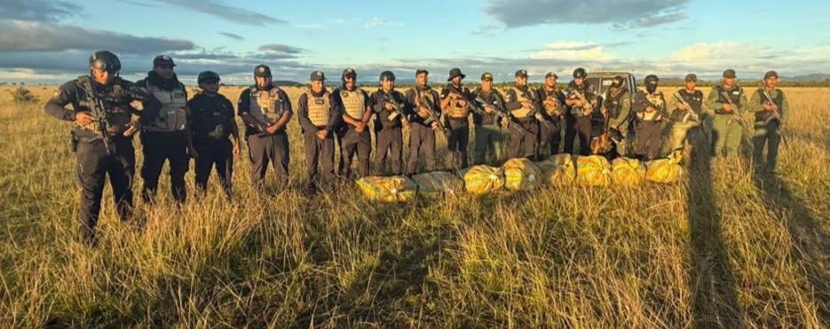 GNB-PNB incauta más de tres toneladas de marihuana en Apure y Falcón