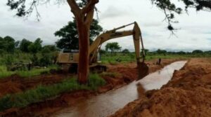 Guárico en alerta por crecida del río Orinoco: monitorean Cabruta y atienden afectaciones viales - AlbertoNews