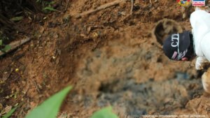 Guaviare sigue bajo el terror de las disidencias de 'Mordisco' y 'Calarcá'