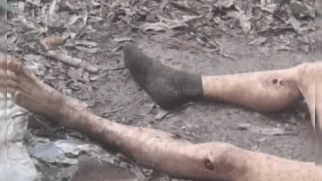 Hallan cadáver mutilado