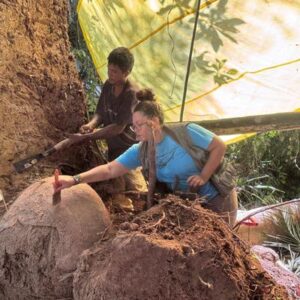 Hallazgo arqueológico sin precedentes en el Amazonas: un árbol caído revela urnas antiguas y misteriosas