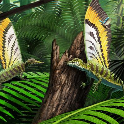 Hallazgo fósil revela a un “reptil milagroso” que vivió antes que los dinosaurios