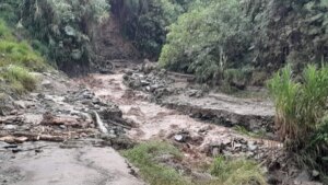 Hay pérdida de puentes, vías y viviendas