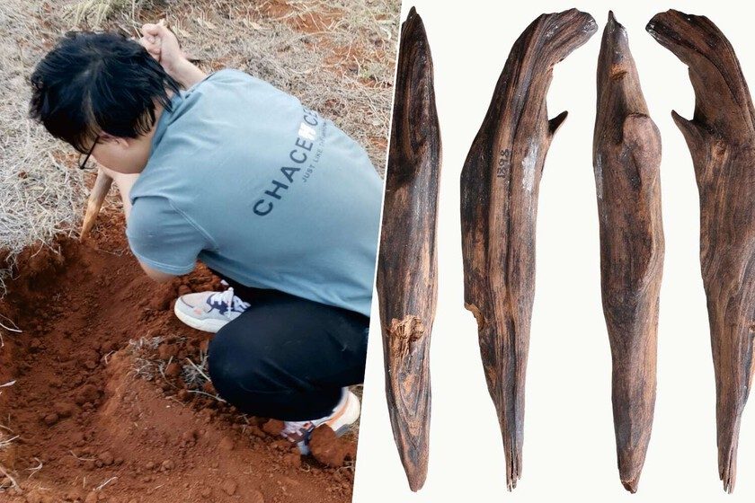Hemos encontrado herramientas de hace 300.000 años en China. Y ponen patas arriba lo que creíamos sobre la paleodieta