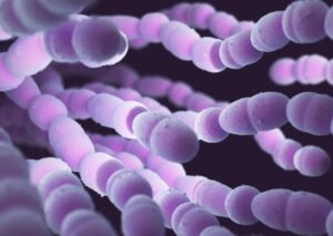 Identifican linaje hipervirulento que causa mayoría de infecciones por neumococo en España
