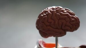 Infartos cerebrales impactan a mexicanos cada vez más jóvenes, alerta especialista