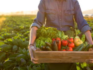 Inflación de alimentos: qué tanto las lluvias y la caída de la siembra la están golpeando | Agro | Economía