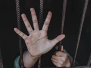 Inseguridad en Colombia: Ganadería y caña, sectores que más sufren en el agro | Agro | Economía