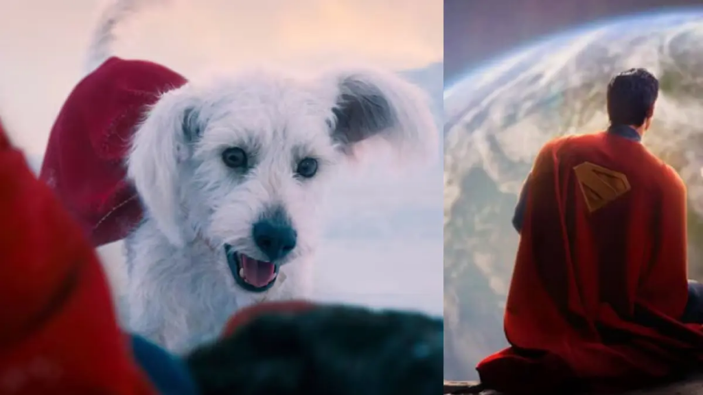 Krypto, el perro que acompaña a Superman, dispara las adopciones de mascotas tras el estreno de la película