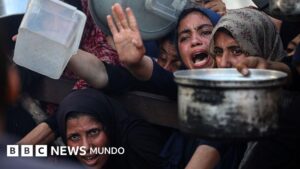 La ONU pide a Israel que permita el acceso de 6.000 camiones de ayuda humanitaria que esperan a entrar en Gaza