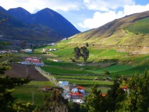 La RAE reconoció oficialmente el término “gocho” como gentilicio de los Andes venezolanos - AlbertoNews