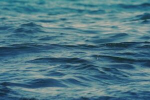 La composición química del agua de los océanos