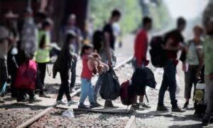 La lucha demográfica por la migración internacional : IPS Agencia de Noticias