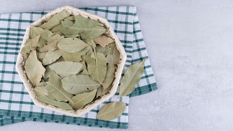 La poderosa planta aromática que ayuda a ahuyentar insectos y roedores en casa