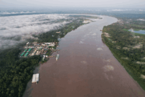La producción de PetroTal en la Amazonía de Perú crece 20% durante primer semestre del año