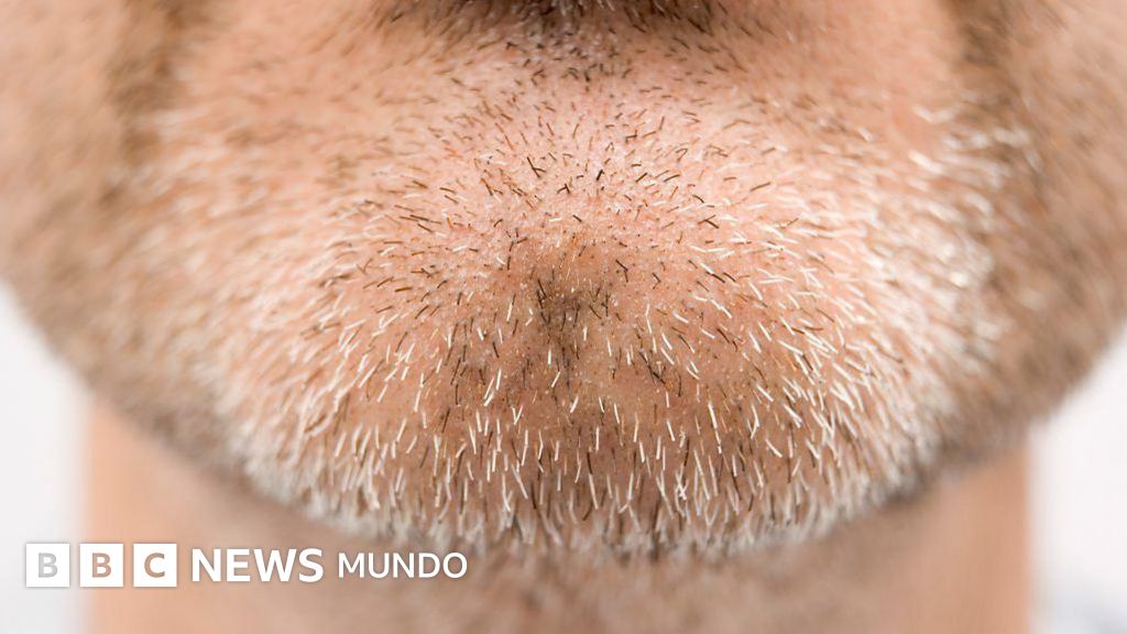 Las partes del cuerpo humano para las que la evolución no encuentra una explicación