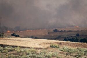 Madrid pedirá la ayuda de la UME en el incendio de Méntrida, que ha consumido 2.500 hectáreas | europapress.es