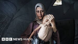 Más de 100 agencias de ayuda humanitaria denuncian que la hambruna masiva se extiende en Gaza
