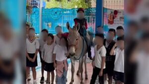 Niño en México llevó un burro a su colegio tras permiso de llevar mascotas a una clase