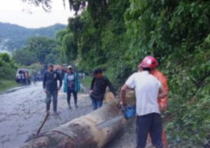 Niño murió en Portuguesa al caerle cables de alta tensión