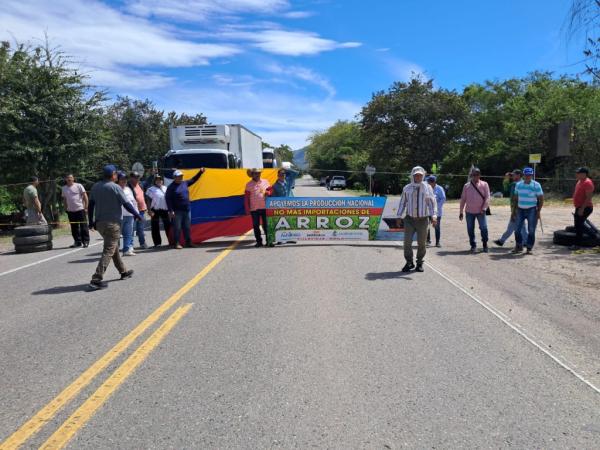 Paro arrocero: comité organizador sigue a la espera de una respuesta del Minagricultura | Agro | Economía