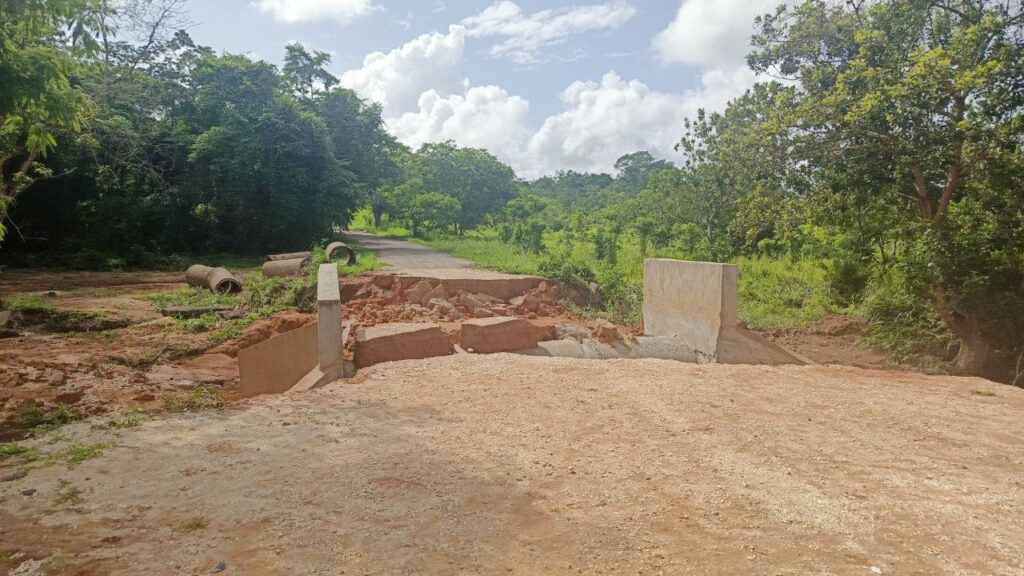 Reconstruirán puente que colapsó por las lluvias en Casacoima