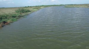Río Matiyure se desborda en Apure y convierte a Achaguas en lago