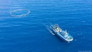 Satélites revelan pesca ilegal en áreas marinas protegidas – DW – 25/07/2025