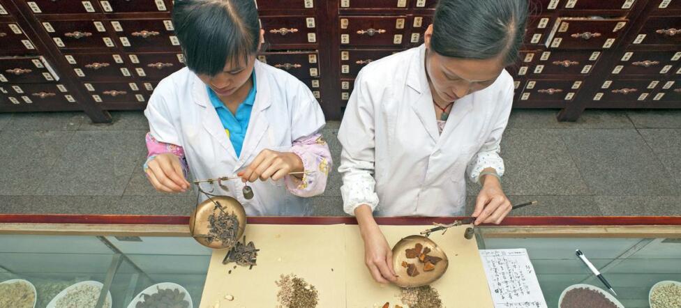Se encuentran la inteligencia artificial y la medicina tradicional : IPS Agencia de Noticias