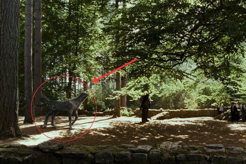 Si pausas Harry Potter y el Prisionero de Azkaban en el minuto 34:12, verás que Buckbeak también tiene sus propias necesidades