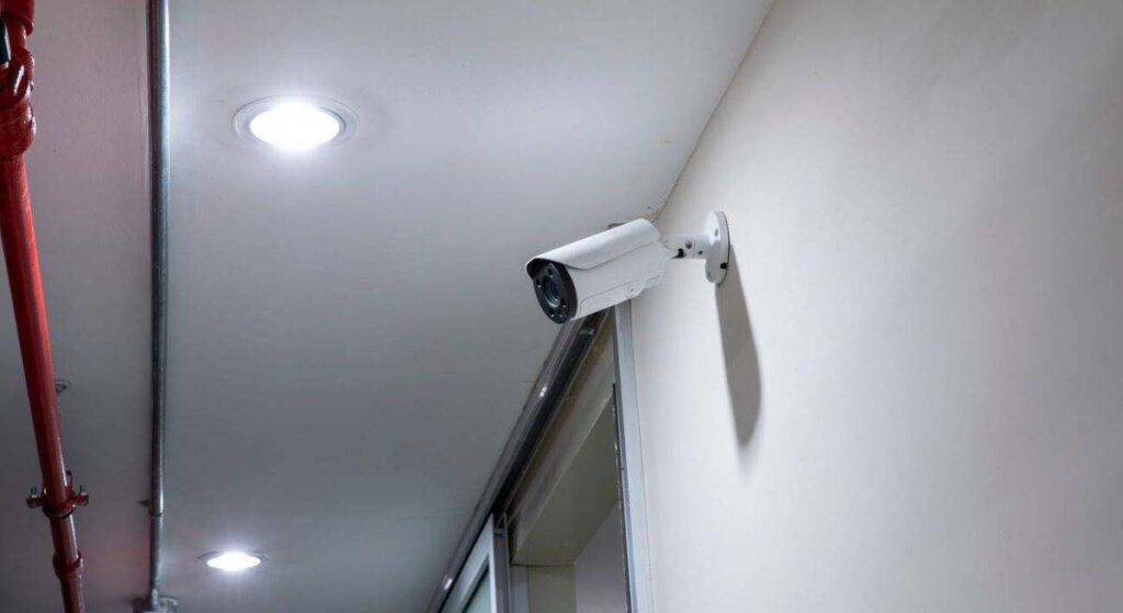 Sus vecinos instalaron unas cámaras "para vigilar su parcela", pero tras investigarlo descubrió la verdad