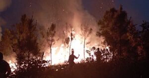 Un incendio forestal arrasa más de 80 hectáreas de bosque en zona oriental de Cuba – AlbertoNews